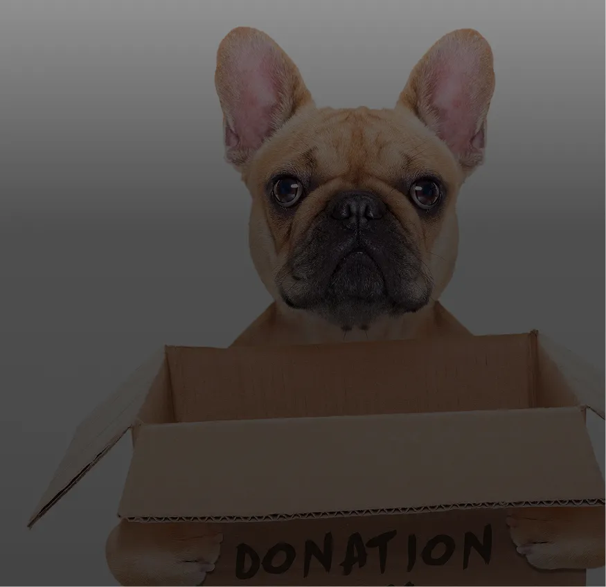 Donate to Valley Humane Society